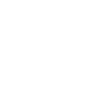 MAS MT logo